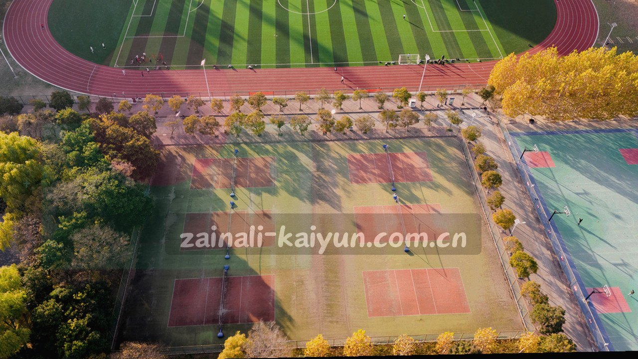 球迷助威的抽象氛围，旗帜与手势在空中舞动